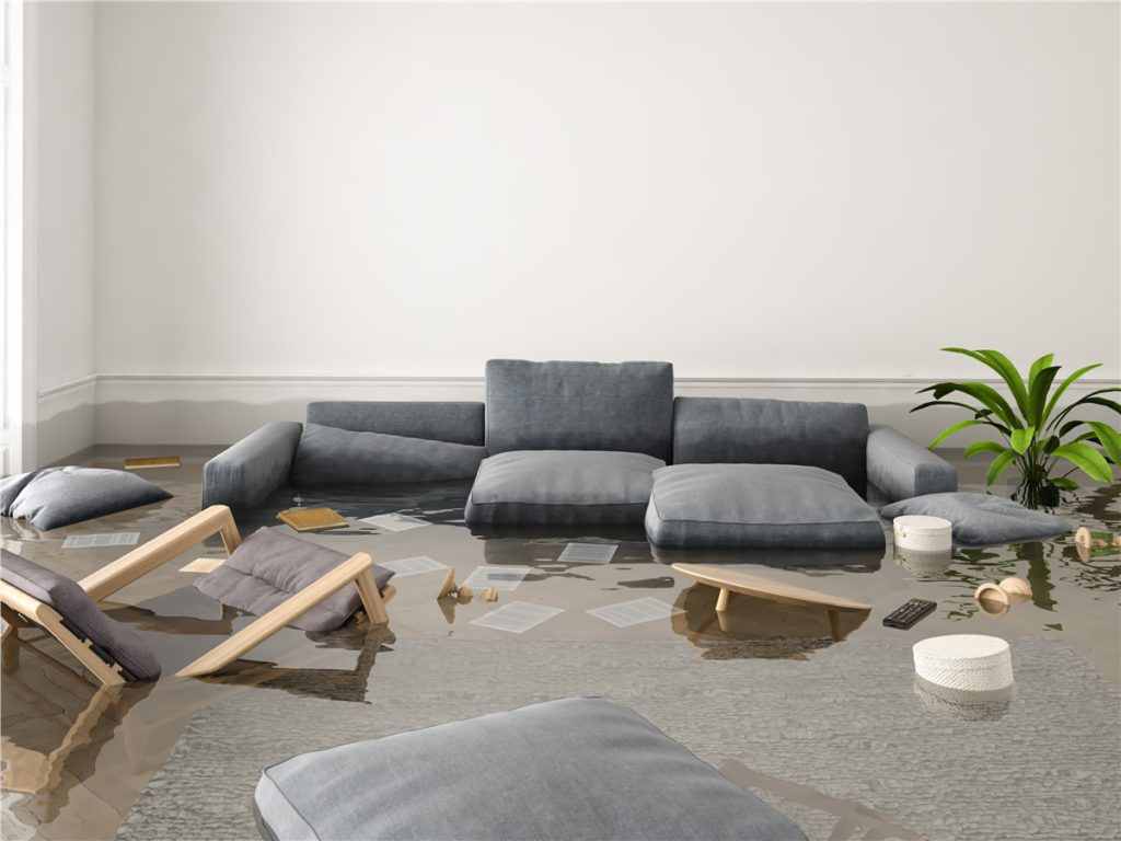 Reasons Why Water Restorations Services Are Important