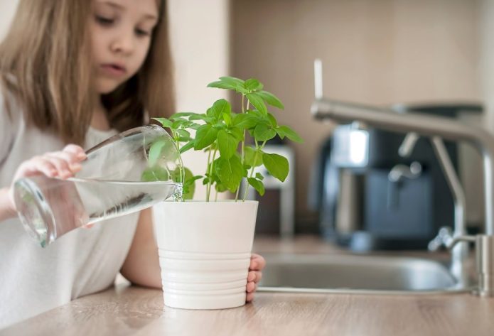 Easy Ways to Reduce Your Water Bill - Totally Homestead