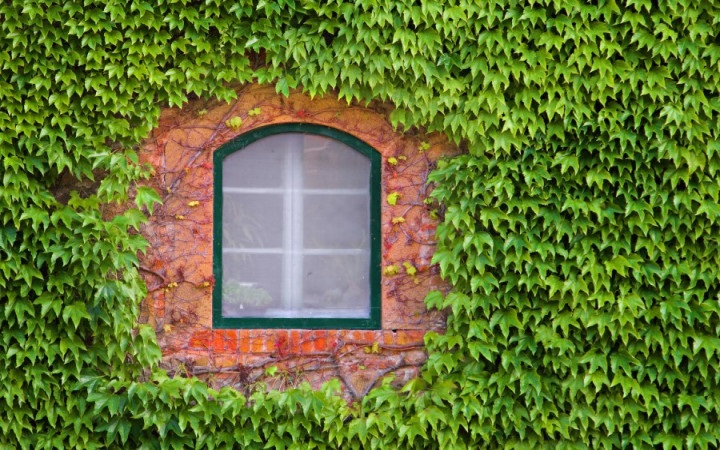 What Impact Have the Invention of Glass Windows Had on Society?