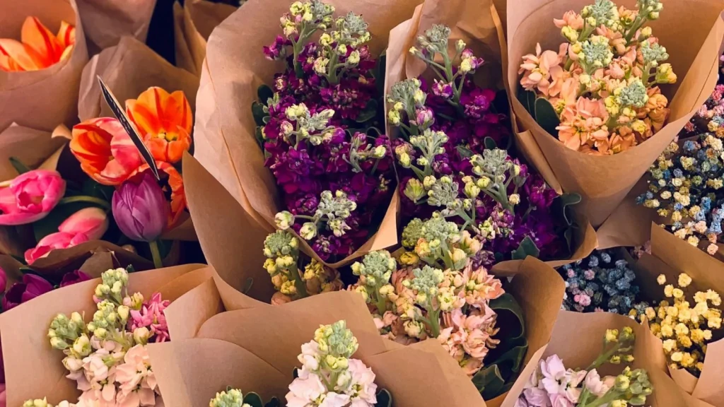 Blossom Express: Delivering Nature’s Beauty to Your Doorstep