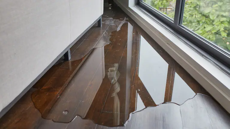 What is the Best Way to Handle Water Damage Issues?