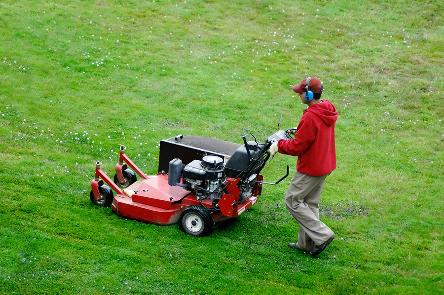 Transform Your Lawn with Expert Idaho Falls Lawn Care Service