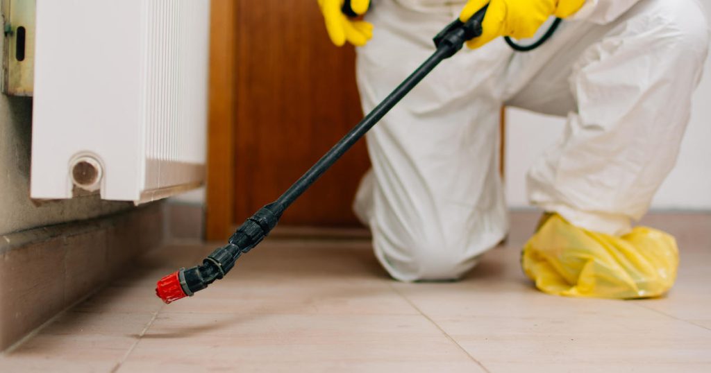 Defending Against Intruders: Pest Control In Los Angeles