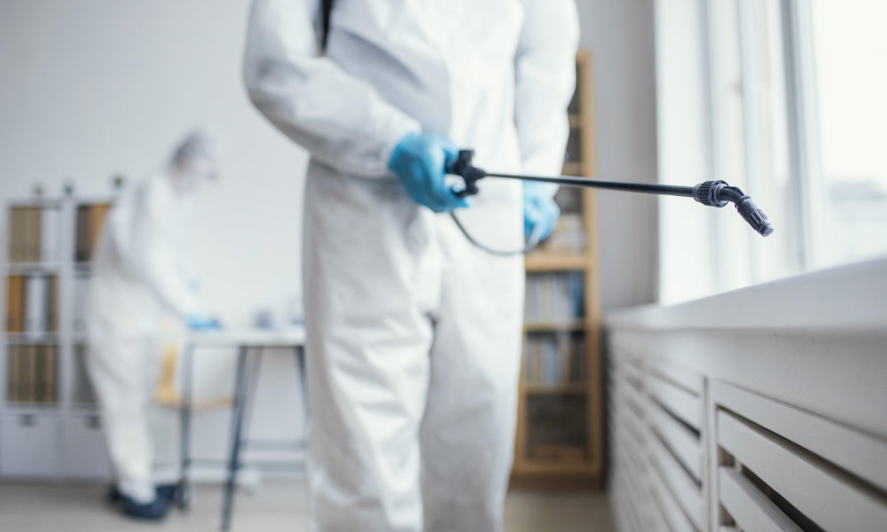 Innovative Mosquito Control Methods for Schools and Daycares